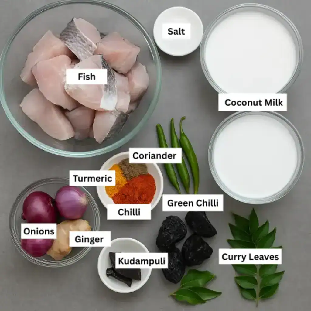 Ingredients for Kerala style fish curry with coconut milk including fish, coconut milk, green chilli, kudampuli, spices, and curry leaves.