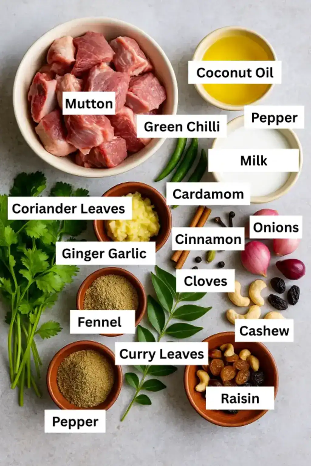 Mutton stew ingredients arranged on a gray surface, including mutton, coconut milk, spices, herbs, shallots, and cashews.