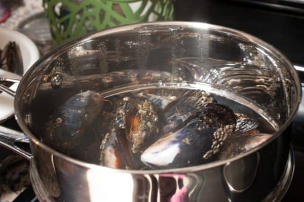 Mussels boiling in a steel pot during the cleaning process for Kerala-style mussel fry.
