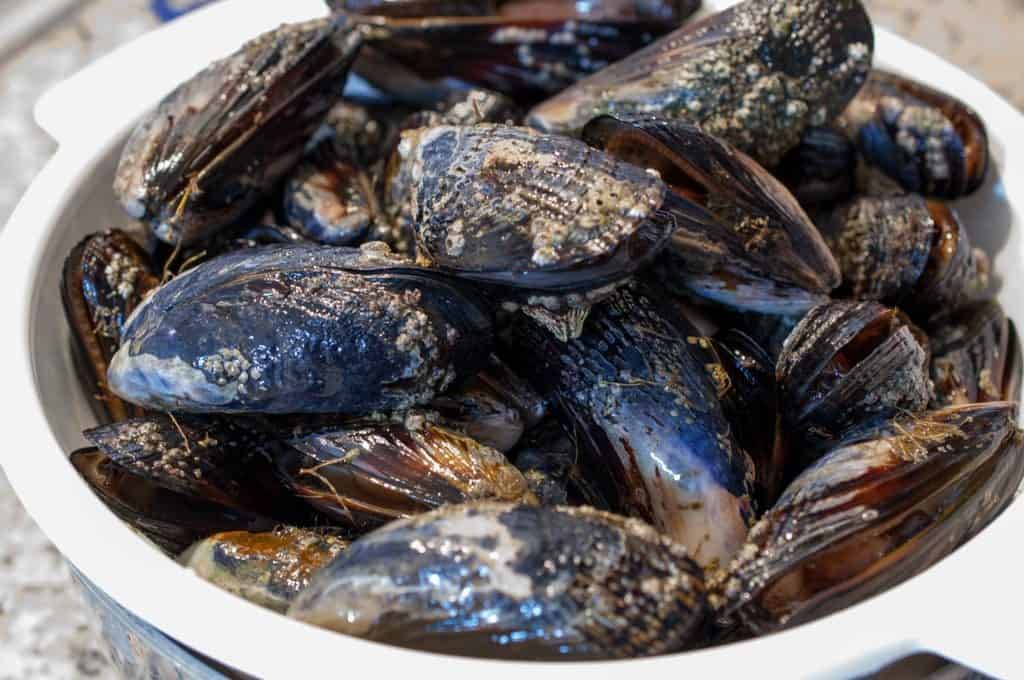 Kerala Style Mussels Fry (Kallumakkaya Varattiyathu) Recipe A Little