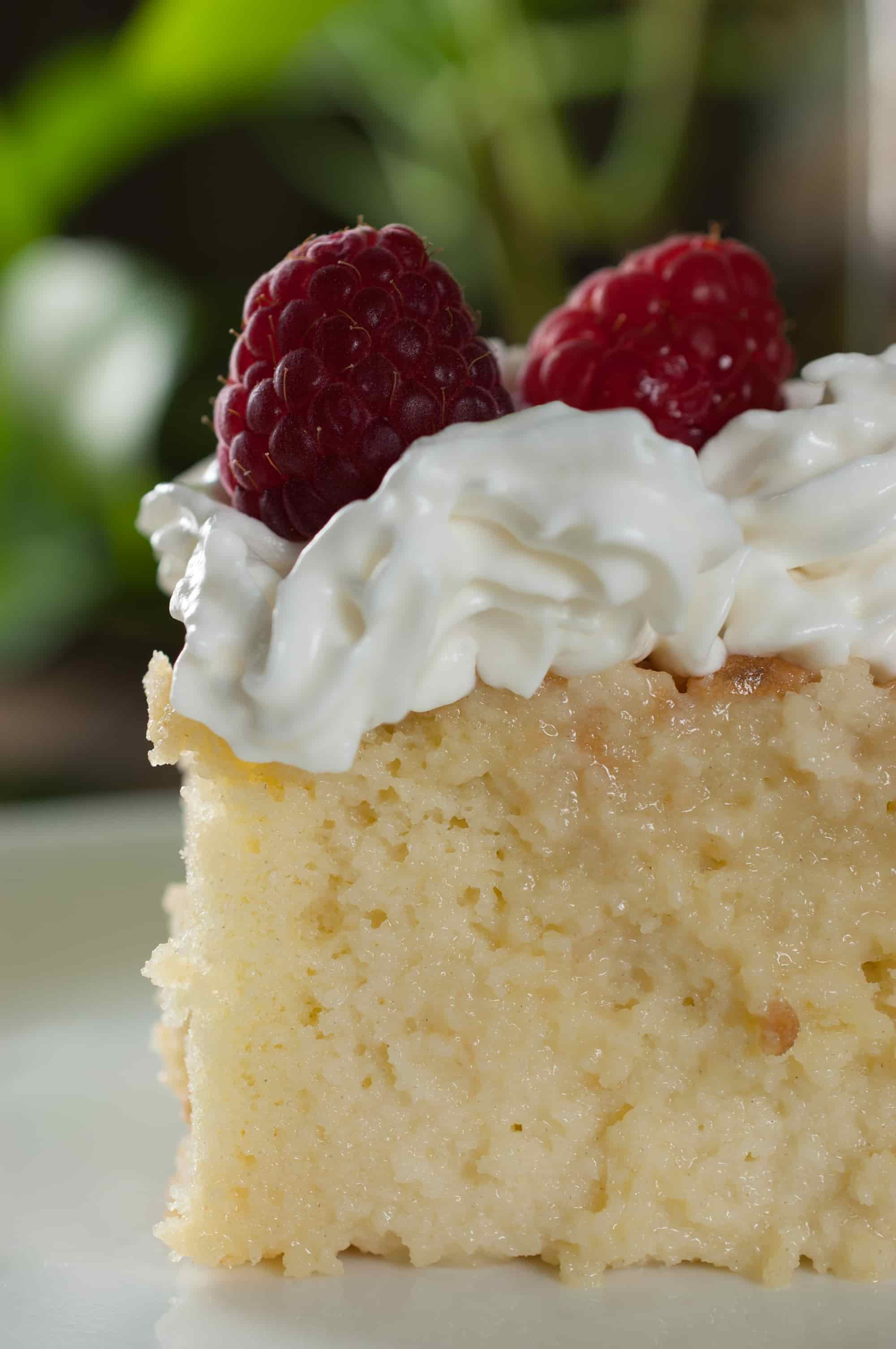 Tres Leches cake, otherwise called as Three Milk Cake. Sweet and moist two layer cake with vanilla sponge cake base completely soaked in three kinds of milk, topped with whipped cream.