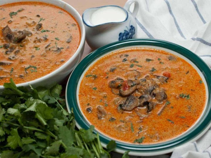 Creamy, tangy and delicious soup with mushrooms and ground beef. It has got right flavors on one plate. This mushroom soup is filling and easy to make. The best Hungarian mushroom and ground beef soup ever!