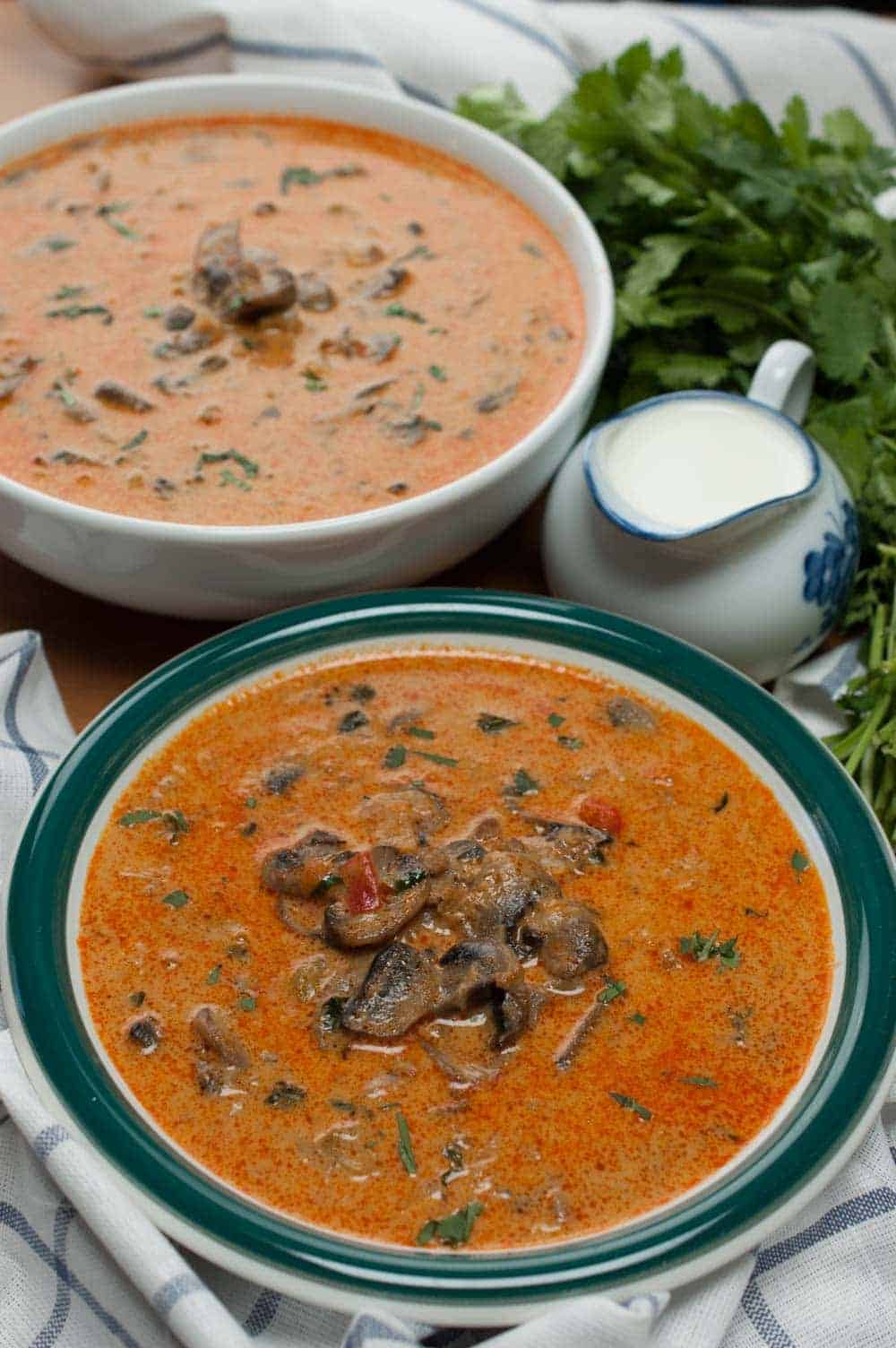 Creamy, tangy and delicious soup with mushrooms and ground beef. It has got right flavors on one plate. This mushroom soup is filling and easy to make. The best Hungarian mushroom and ground beef soup ever!